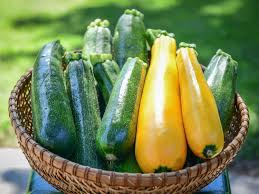 Image result for Zucchini