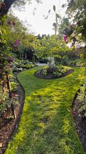 Image result for Hosta Warpaint