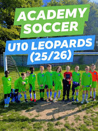 Image result for Rayleigh boys under 7's Leopards- need a Goalie!