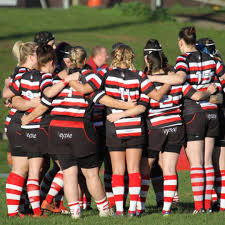 Image result for Stanford Rugby Club