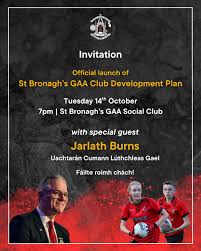 Image result for Rostrevor Hurling Club