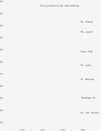 Attēlu rezultāti vaicājumam “Dicranodontium denudatum”