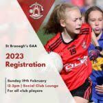 Image result for Rostrevor Hurling Club