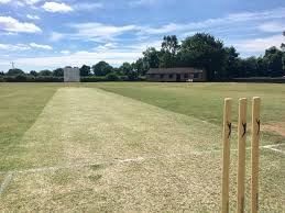 Image result for Bitteswell Cricket Club