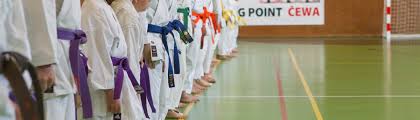 Image result for Tsunami Karate Club