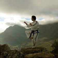 Image result for London Colney Tae Kwon Do  (I.T.F. / LTSI / A.F.T.)