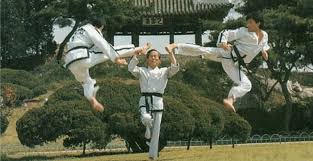 Image result for Bytomic Tae Kwon Do Windsor