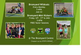 Image result for Bromyard Town Football Club Limited