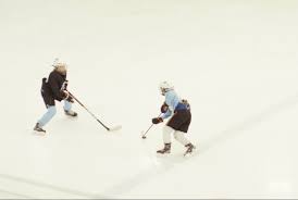 Image result for West Coast Wasps Skater Hockey Club