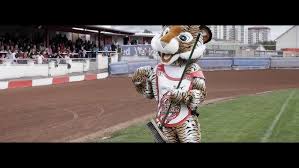 Image result for Glasgow Tigers