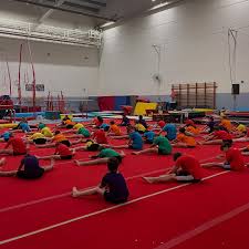 Image result for Hawth Gymnastics, Crawley