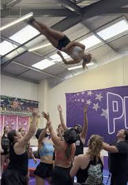 Image result for Phoenix Stars Cheerleaders