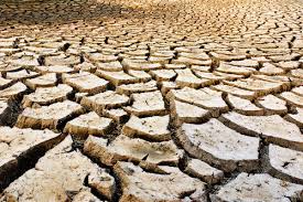 Image result for intemperismo