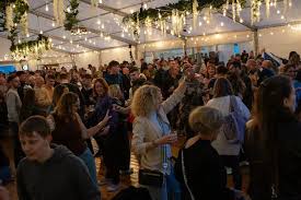 Image result for stonehaven gymnastics club