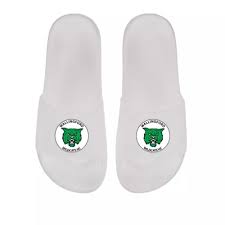 Image result for Wallingford Hockey Club