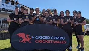 Image result for Bronwydd Cricket Club
