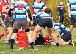 Image result for Reigate Rugby Football Club