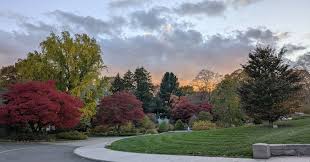Attēlu rezultāti vaicājumam “Exochorda giraldii var. wilsonii”