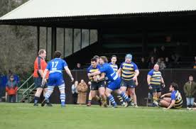 Image result for Hastings & Bexhill Rugby Football Club
