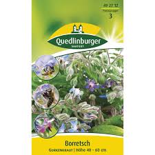 Image result for Borretsch