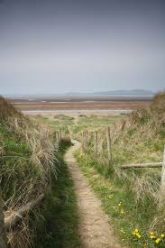 Image result for Solway