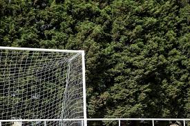 Image result for Welwyn Garden City Panshanger Football Club