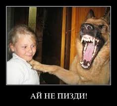 images?q=tbn:ANd9GcQEXcAIdYHZrWNskEa4iXCOOVKmGsRQjUZYFOEmUDlB1VCT1v8zTg