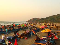 Image result for goa beaches