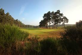 Image result for Hankley Common Golf Club