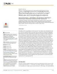 Attēlu rezultāti vaicājumam “Calypogeia azurea macro”
