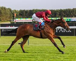 Image result for Buchan Group Riding For The Disabled