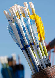 Image result for Silver Arrow Archery