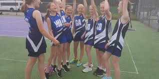 Image result for pulborough netball club