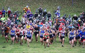 Image result for Bingley Harriers & Athletics Club