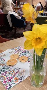 Image result for Pyle Octopush Club