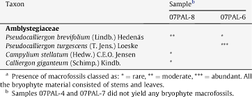 Attēlu rezultāti vaicājumam “Pseudocalliergon turgescens”