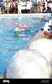 Image result for South London Swimming Club