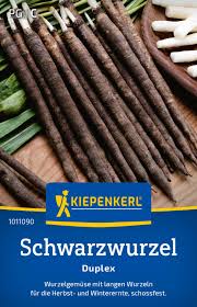 Image result for Schwarzwurzeln
