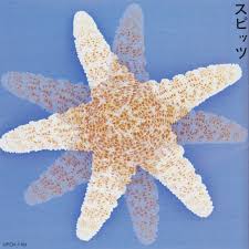 Image result for スピッツ