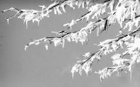 Image result for ice storm