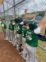Image result for Pickley Green Panthers Junior Badminton Club