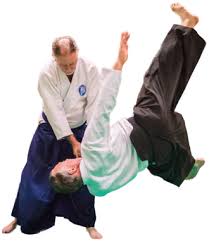 Image result for Ryusui-ryu Martial Arts School East Grinstead