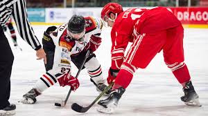 Image result for Chelmsford Chieftains
