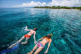 Image result for East Snorkellers