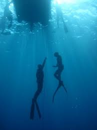 Image result for Blue Water Freediving School