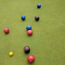 Image result for Lawns The Indoor Bowls Club