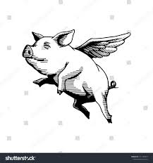 Image result for flying pigs