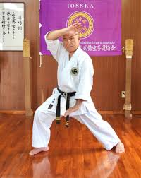 Image result for Zen Shin Seicho Do Adult Karate