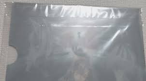 「シオン・ウヅキ ゼノサーガ エピソードI 力への意志」の画像検索結果