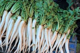 Image result for Rettich